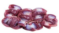 Health Benefits of natnudO Gizzard